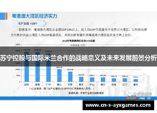 苏宁控股与国际米兰合作的战略意义及未来发展前景分析 苏宁控股与国际米兰合作的战略意义及未来发展前景分析