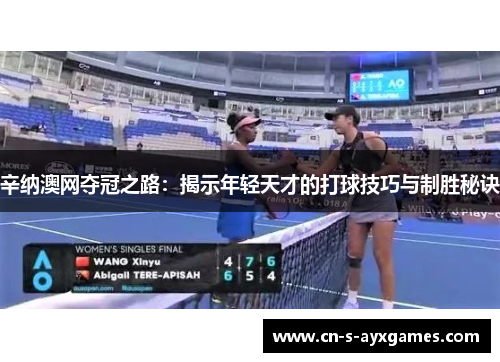 辛纳澳网夺冠之路：揭示年轻天才的打球技巧与制胜秘诀