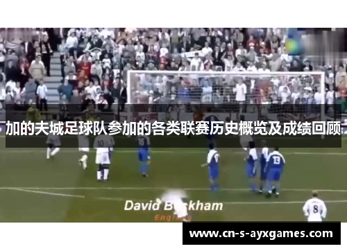 加的夫城足球队参加的各类联赛历史概览及成绩回顾 加的夫城足球队参加的各类联赛历史概览及成绩回顾