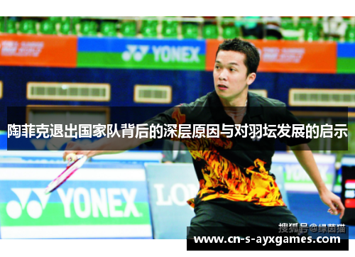 陶菲克退出国家队背后的深层原因与对羽坛发展的启示